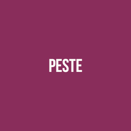 Pește